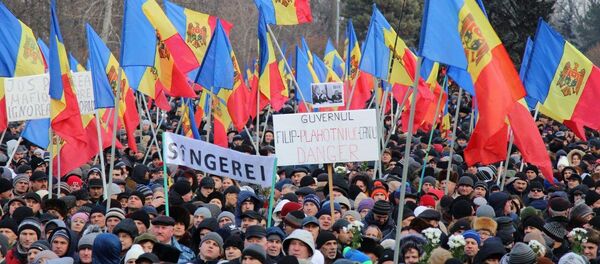 Proteste 24.01.2016 Протест 24.01.2016 - Sputnik Молдова