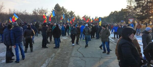 Proteste 24.01.2016 Протест 24.01.2016 Chișinău - Leușeni - Sputnik Moldova