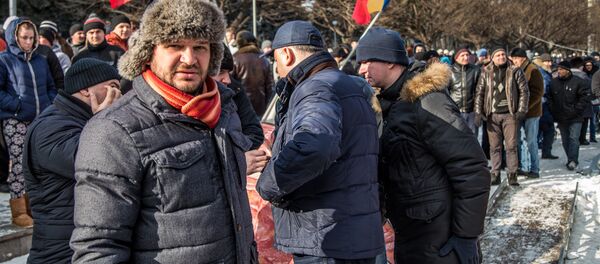 Proteste 24.01.2016 Протест 24.01.2016 - Sputnik Moldova