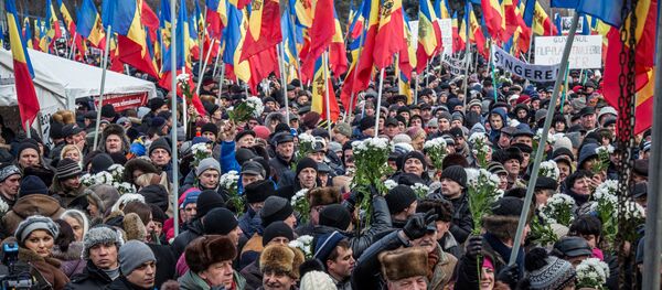 Proteste 24.01.2016 Протест 24.01.2016 - Sputnik Молдова