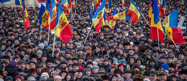 Proteste 24.01.2016 Протест 24.01.2016 - Sputnik Moldova