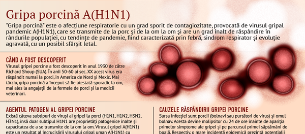 Gripă porcină AH1N1 - Sputnik Moldova