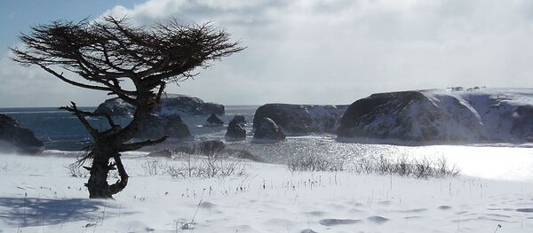 Курильские острова Курильские острова - Sputnik Молдова