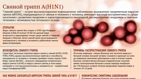 О свином гриппе инфографика - Sputnik Молдова