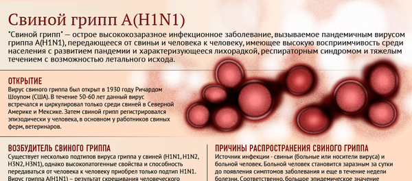 О свином гриппе инфографика - Sputnik Молдова