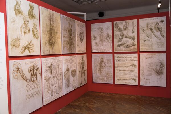 Schițele anatomice ale lui Leonardo - Sputnik Moldova