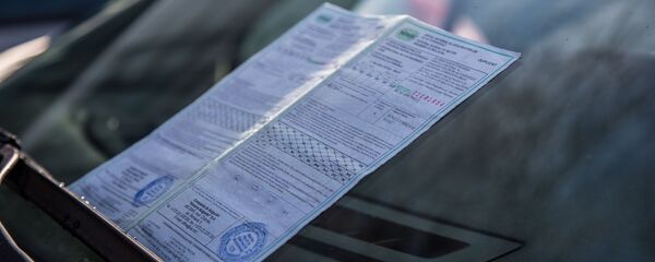 Carte verde - Imagine simbol - Sputnik Moldova