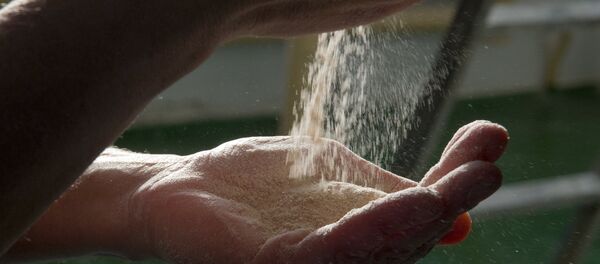 Мука - Sputnik Молдова