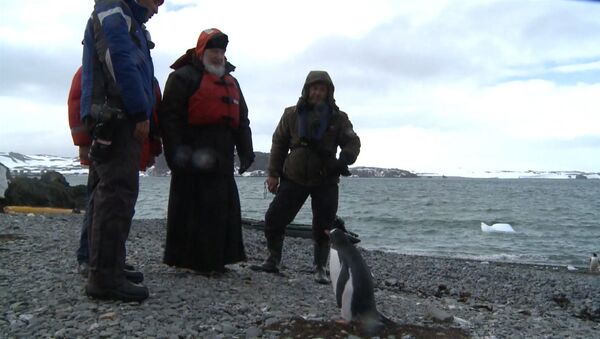 Патриарх Кирилл с полярниками погулял среди пингвинов по берегу Антарктиды - Sputnik Молдова