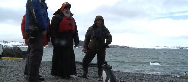 Патриарх Кирилл с полярниками погулял среди пингвинов по берегу Антарктиды Патриарх Кирилл с полярниками погулял среди пингвинов по берегу Антарктиды - Sputnik Молдова