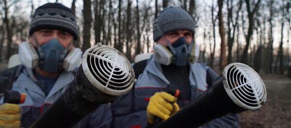 Специалисты проводят обработку территории парков и скверов - Sputnik Moldova