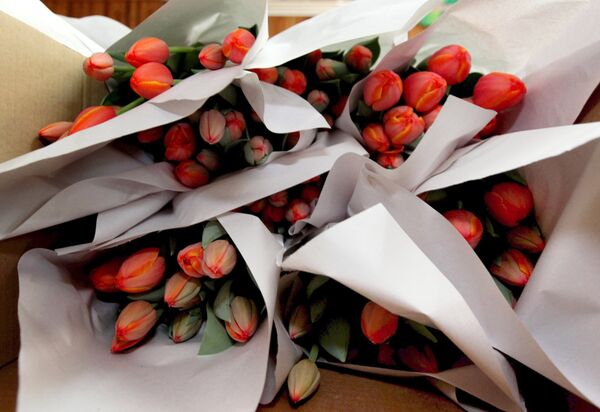 Совет дня: кому на 14 февраля дарить красные цветы, а кому - белые - Sputnik Молдова