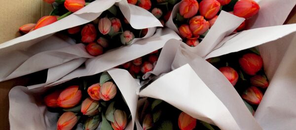Букеты тюльпанов - Sputnik Молдова