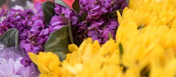 Подснежники и фиалки - Sputnik Молдова