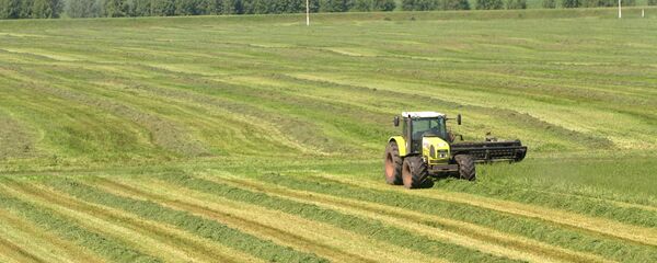 Agricoltura - Sputnik Moldova