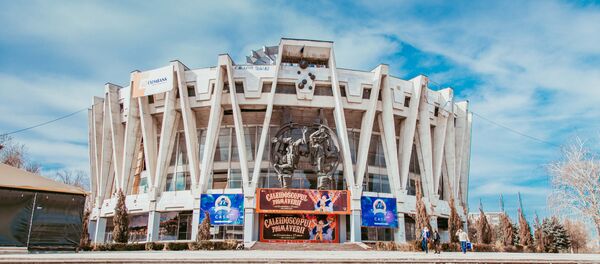 Цирк Цирк - Sputnik Moldova