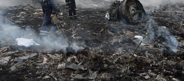 Крушение малайзийского Boeing на Украине - Sputnik Молдова