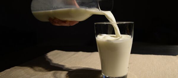 Lapte - Sputnik Moldova