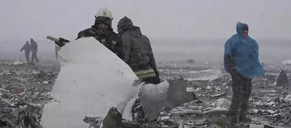 Спасатели собирали засыпанные снегом обломки Boeing 737-800  в Ростове-на-Дону - Sputnik Молдова