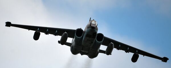 Всероссийский этап международного конкурса Авиадартс-2015. День четвертый - Sputnik Молдова