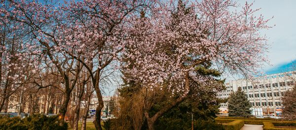 Весна - Sputnik Moldova-România