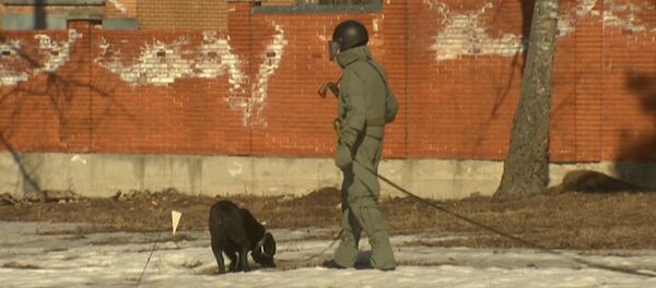 Российские саперы с собаками разминировали поле перед отправкой в Пальмиру - Sputnik Молдова