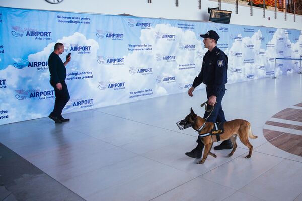 În procesul de control sunt antrenați și chinologii cu câinii de serviciu - Sputnik Moldova