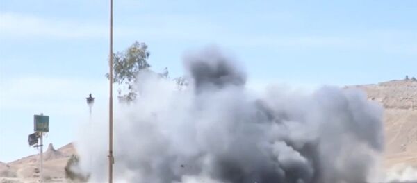 Российские саперы обезвредили мины на дорогах к освобожденной от ИГ Пальмире - Sputnik Молдова