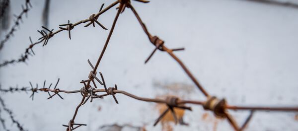 исправительное учреждение - Sputnik Молдова