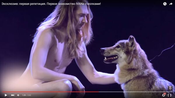 Репетиция Ivan'а с волками Репетиция Ivan'а с волками - Sputnik Молдова