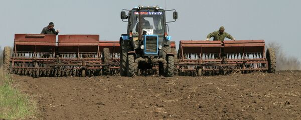 Весенние полевые работы - Sputnik Молдова