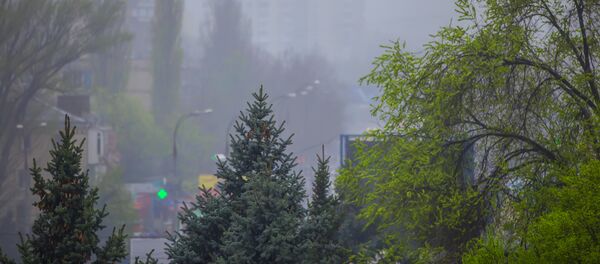 Ploaie Ploaie - Sputnik Молдова