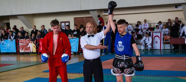 Воевод - Sputnik Молдова