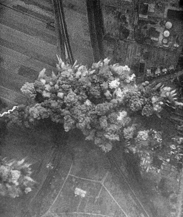 Союз выстоял — как план Барбаросса похоронил его создателей  - Sputnik Молдова