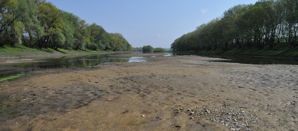 Обмеление Днестра, апрель 2016 г - Sputnik Молдова