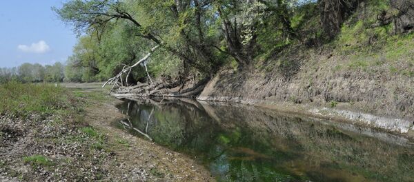 Обмеление Днестра, апрель 2016 г - Sputnik Молдова