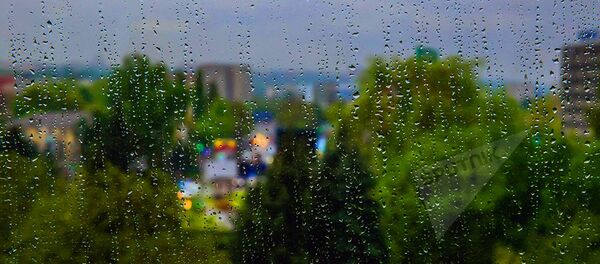 Ploaie - Sputnik Moldova