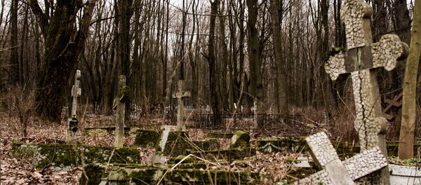 Кладбище - Sputnik Moldova