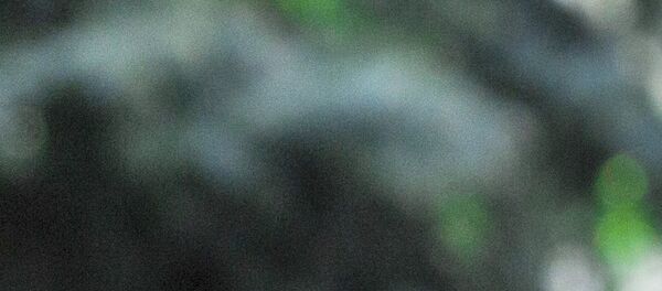 Протест 24 апреля 2016 protest poliție - Sputnik Moldova