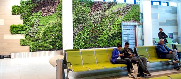 Международный аэропорт Кишинева - Sputnik Молдова