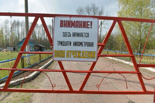 Белорусский сектор зоны отчуждения Чернобыльской АЭС - Sputnik Молдова