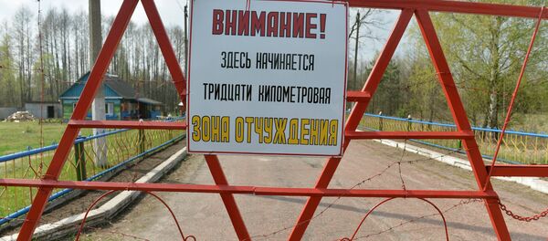 Белорусский сектор зоны отчуждения Чернобыльской АЭС - Sputnik Молдова