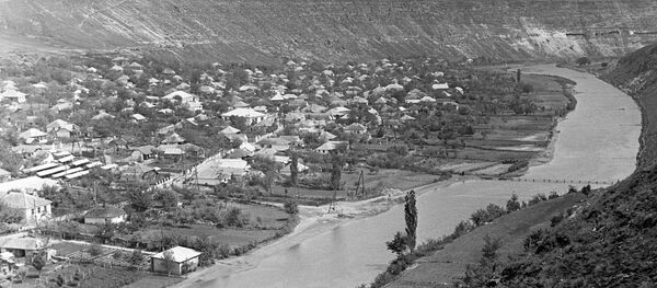 Молдавские Кодры Молдавские Кодры - Sputnik Молдова