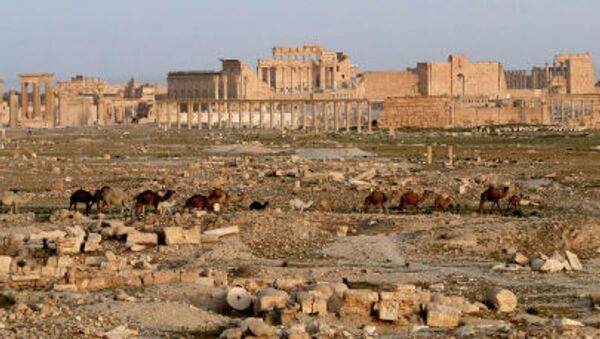 Древний оазис города Пальмира в Сирии - Sputnik Молдова