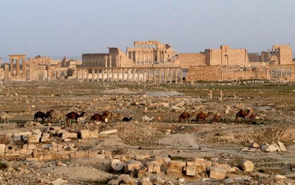 Древний оазис города Пальмира в Сирии - Sputnik Молдова