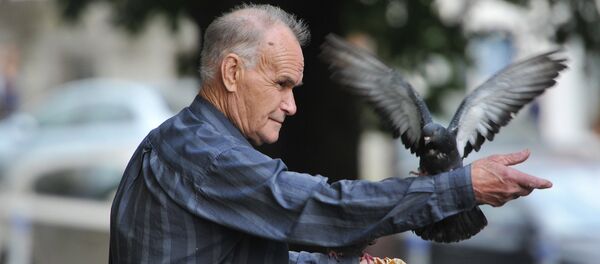 Город, человек, голуби - Sputnik Молдова