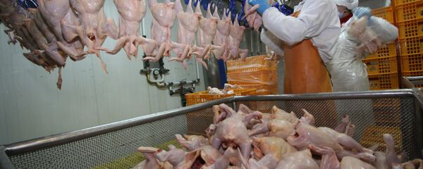 Работа птицефабрики Михайловский бройлер в городе Артем Приморского края - Sputnik Moldova-România