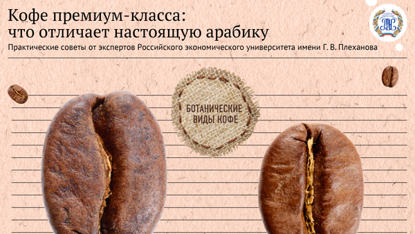 Кофе премиум класса: как отличить настоящую арабику - Sputnik Молдова
