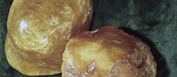 янтарь янтарь - Sputnik Moldova