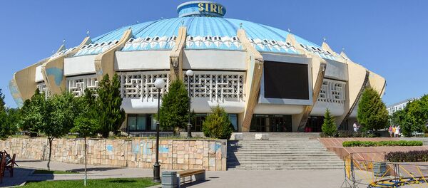 Ташкентский цирк - Sputnik Молдова